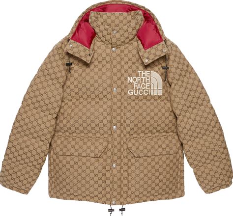 the north face x gucci zip jacket|tnf Gucci jacket.